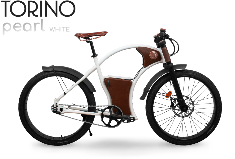 ebike torino